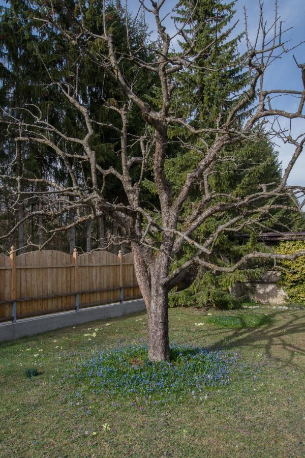 Garten Appartement Harmony Finkenstein am Faaker See Εξωτερικό φωτογραφία