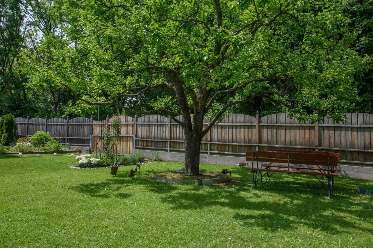 Garten Appartement Harmony Finkenstein am Faaker See Εξωτερικό φωτογραφία