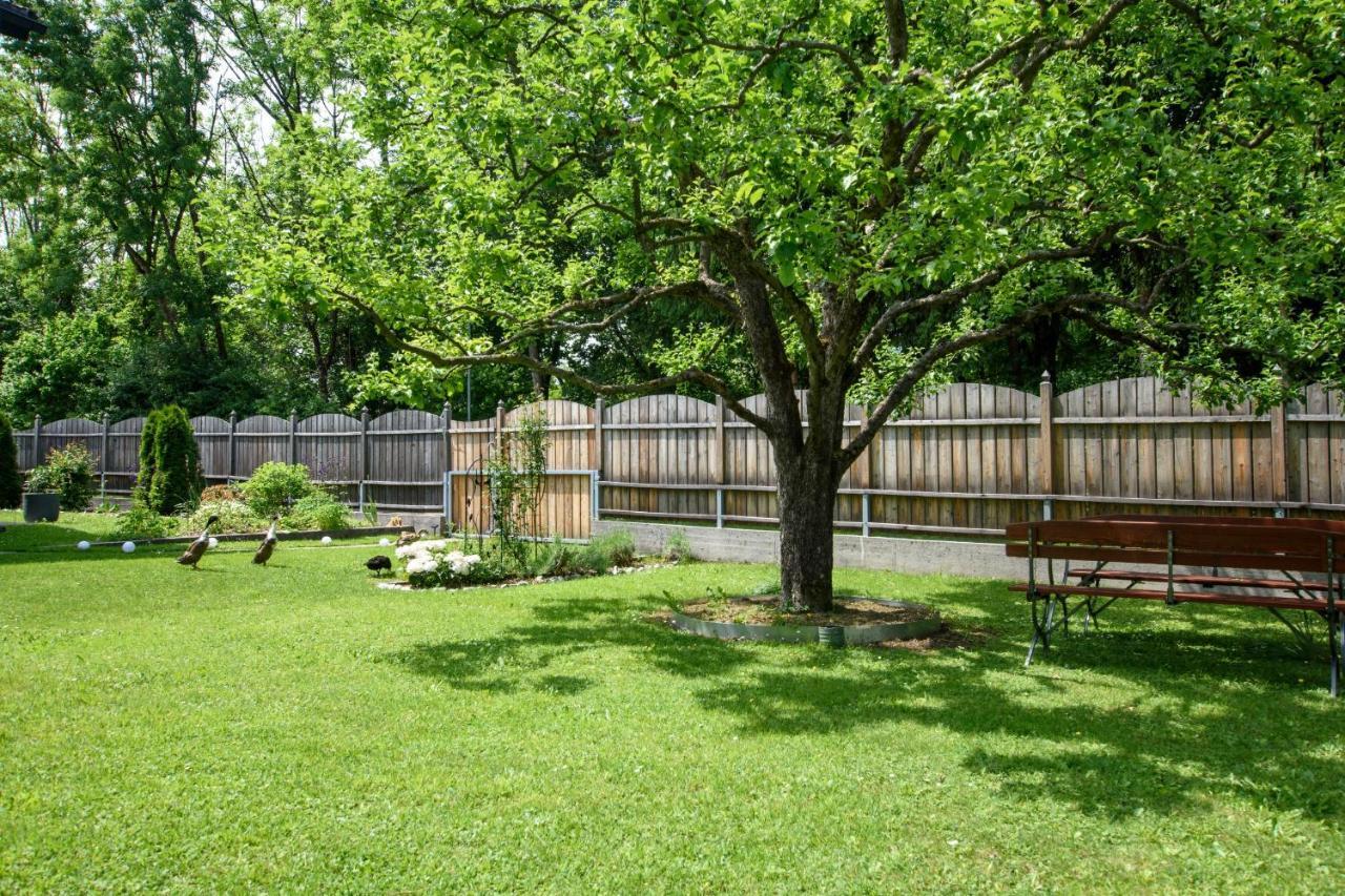 Garten Appartement Harmony Finkenstein am Faaker See Εξωτερικό φωτογραφία